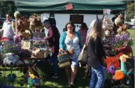  ?? WILLIAM J. KEMBLE PHOTO ?? Patrons at the Hudson Valley Garlic Festival at Cantine Field in Saugerties on Saturday.