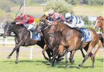  ?? Photos / Trish Dunell ?? Paisley Park stretches well for James McDonald as they win the Dunstan Feeds Stayers Championsh­ip Final (2400m) at Ellerslie. Above: McDonald brings home promising mare Vichy (blue & white stripes) to win the last race on New Year’s Day.