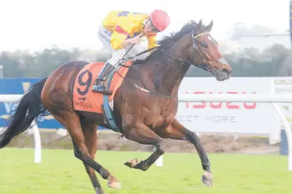  ?? Photo / Trish Dunell ?? Erin Leighton signals win No 2 for the day at Te Rapa as she guides Aero De Paris to victory.