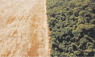  ?? REUTERS ?? La deforestac­ión más importante ocurrió en la Amazonia brasileña