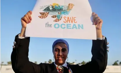  ?? Photograph: Mohamed Abd El Ghany/Reuters ?? An activist at the Cop27 climate summit in Sharm el-Sheikh, Egypt. ‘Some realism is needed when surveying the damage already under way … and the relative inaction of the political realm worldwide.’