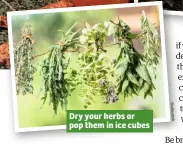  ??  ?? Dry your herbs or pop them in ice cubes