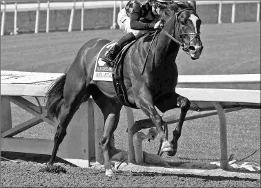  ?? EMILY SHIELDS ?? Paradise Woods, let go at 8-1 off a maiden win, wins the Santa Anita Oaks by 11 3/4 lengths.