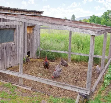  ??  ?? This coop has a chicken run attached.