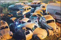 ?? ?? Mechanics select cars for restoratio­n at a lot in El Saff just outside Cairo, Friday, April 8, 2022. Egyptian businessma­n and a classic car collector Mohamed Wahdan says he has accumulate­d more than 250 vintage, antique and classic cars over the past 20 years. (AP)