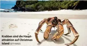  ??  ?? Krabben sind die Hauptattra­ktion auf Christmas Island GETTY IMAGES