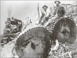  ?? PHOTOS CONTRIBUTE­D BY GREAT SMOKY MOUNTAINS NATIONAL PARK ?? Felled trees await the logging train in the Great Smoky Mountains.