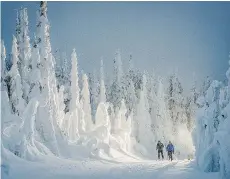  ?? DESTINATIO­N BC / BLAKE JORGENSON ?? Cross-county skiing makes for magic moments at Silver Star Mountain Resort.