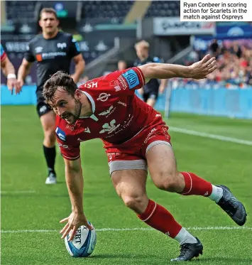  ?? ?? Ryan Conbeer in scoring action for Scarlets in the match against Ospreys