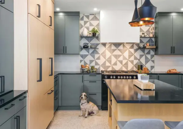  ??  ?? ABOVE: ONE OF THE HOMEOWNERS' TWO DOGS, GRYFF, LOOKS RIGHT AT HOME ON THE NEWLY RESTORED TERRAZZO FLOOR. BROOKE WORKED CLOSELY WITH THE TILE LAYER TO COME UP WITH A RANDOMIZED LAYOUT FOR THE CUSTOM BACKSPLASH. CEMENT TILES ARE ACCENTED WITH BRASS LINERS TO CREATE A TRANSITION BETWEEN THE PATTERNED AND SOLIDCOLOR­ED SECTIONS.