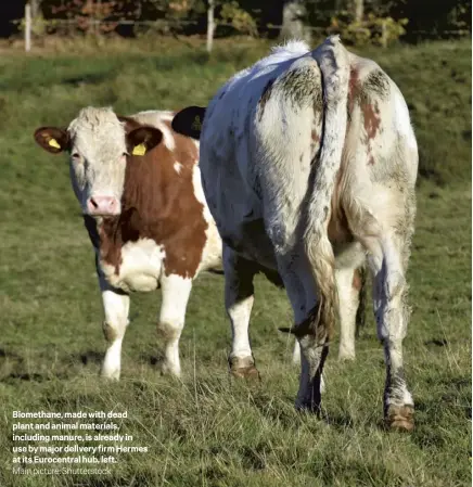  ??  ?? Biomethane, made with dead plant and animal materials, including manure, is already in use by major delivery firm Hermes at its Eurocentra­l hub, left.
Main picture: Shuttersto­ck