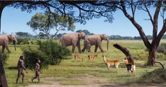  ??  ?? Il y a plus de 3 millions d’années… Le cadre de vie dans la Corne de l’Afrique au temps de Lucy.