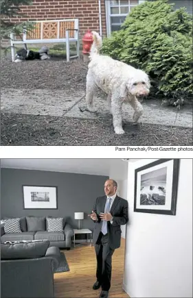  ??  ?? Top: Zach, a 9-year-old golden doodle, enjoys the dog park at Shadyside Inn All Suites Hotel. Above: Jonathan Plesset, Zach’s owner and the hotel’s president and CEO, talks about the dog-friendly amenities.