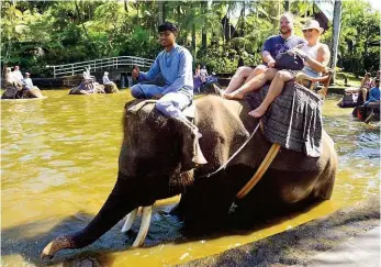  ??  ?? Lustig? Sicher nicht für die meisten Elefanten! Dass sie so durchs Wasser gehen, Touristen schleppen, sich hinlegen, wenn es befohlen wird, ist oft nur möglich, wenn das Tier gebrochen ist – durch Hunger, Schläge, Angst.