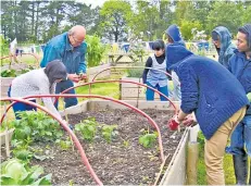  ?? NORRIE BLACKEBY ?? Grass roots: a new scheme is helping students to ‘grow their own’