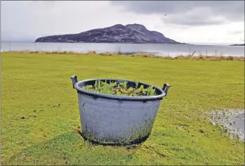  ??  ?? North Ayrshire Council will no longer plant or maintain the flower tubs on Arran owing to budget cuts