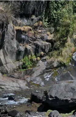  ??  ?? Clockwise from top left: The trekking trail to Barot takes one through tiny hamlets like Kao; the virginal Lapas waterfall is a day trip from Barot; the pretty log cottage of HP PWD Rest House makes for a decent stay in Barot.