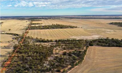  ?? Photograph: David Dare Parker/The Guardian ?? ‘The reality of soil carbon is that it is highly variable, hard to measure, hard to shift and easy to lose.’