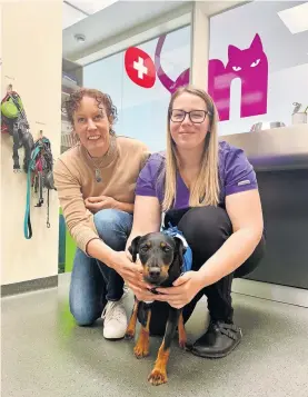  ?? / Foto: Tjaša Lampret ?? Veterinark­a Tina Roškar (levo) in veterinars­ka tehničarka Teja Volk z desetmeseč­no psičko Boro, ki je prejela transfuzij­o zaradi tujka v pljučih, je v času našega obiska že lepo okrevala.