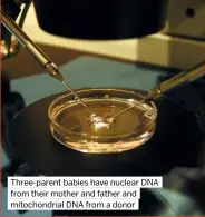  ?? ?? Three-parent babies have nuclear DNA from their mother and father and mitochondr­ial DNA from a donor