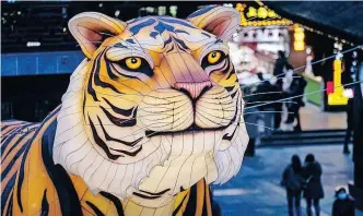  ?? | EPA-EFE ?? PEOPLE pass by a model of a tiger in Shanghai, China. The Chinese lunar new year, or Spring Festival, fell on Tuesday and heralds the start of the Year of the Tiger.