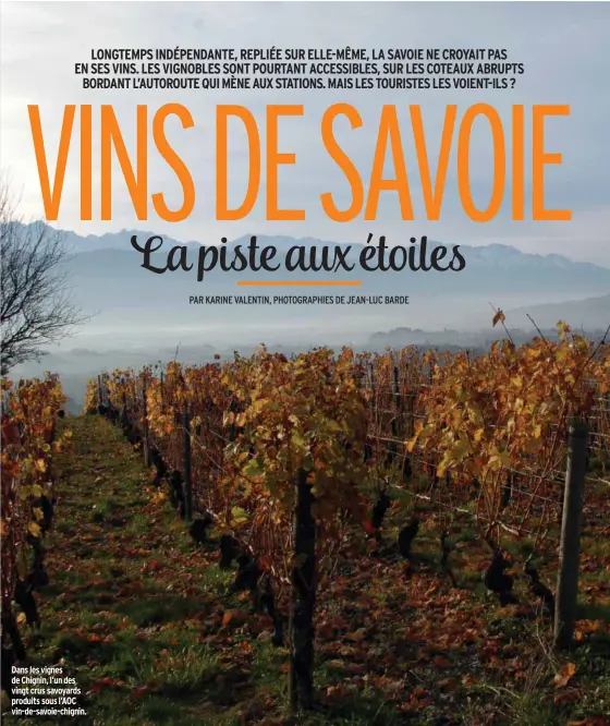  ??  ?? Dans les vignes de Chignin, l’un des vingt crus savoyards produits sous l’AOC vin-de-savoie-chignin.