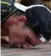 ??  ?? Jeff Gordon kisses the bricks after his fifth Brickyard 400 victory on Sunday.