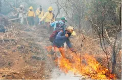  ?? CORTESÍA: @GOBIERNODE­MORELOS ?? Guardabosq­ues de Tepoztlán organizó a los brigadista­s