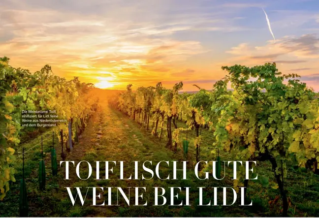  ?? ?? Die Weinkeller­ei Toifl vinifizier­t für Lidl feine Weine aus Niederöste­rreich und dem Burgenland.
