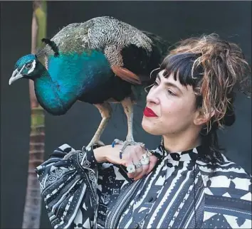  ?? Photograph­s by Katie Falkenberg Los Angeles Times ?? THE SINGLE-NAMED artist known as Ventiko with her peacock, Dexter, in Venice. Ventiko tried to bring the bird on a United f light from Newark to Los Angeles. The airline refused her, and the story went viral.