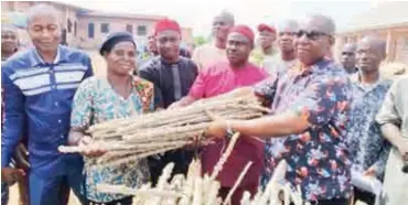  ??  ?? A member of Anambra State House of Assembly, Patrick Obalum Udoba, distribute­d bundles of cassava stems to his constituen­ts