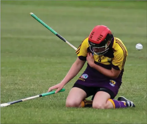  ??  ?? Wexford’s Shelley Kehoe has not one but two hurls to contend with along with the ball during Saturday’s Liberty Insurance All-Ireland Senior camogie championsh­ip quarter-final clash with Tipperary in Walsh Park, Waterford, which Wexford won by a point.