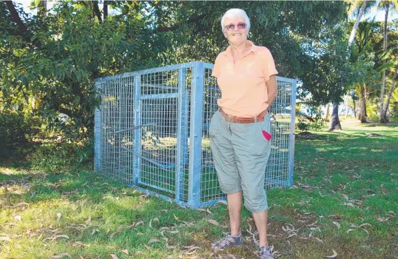  ?? Pictures: JOHN ANDERSEN ?? TRAPPING TROUBLE: Truus Biddlecomb­e at the pig trap that was installed in her Mission Beach backyard.