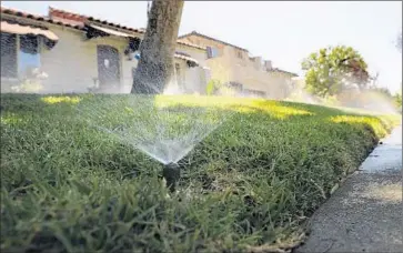  ?? Wally Skalij
Los Angeles Times ?? THE SOONEST DWP customers could see tighter restrictio­ns, including reducing watering days to two days a week, would be next month. Other cities in the region have already imposed such limits on watering.