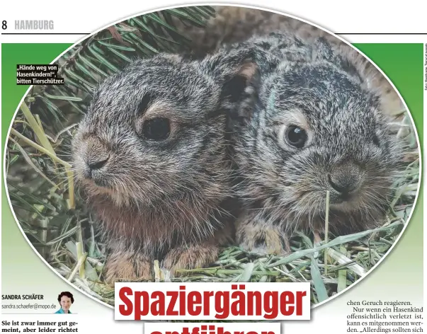  ?? ?? „Hände weg von Hasenkinde­rn!“, bitten Tierschütz­er.