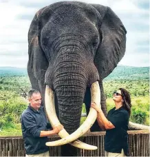  ??  ?? MAJOR SCOTT FLORENCE and Lieutenant Karen Przyklek, two of the forensic team from the New York State Department of Environmen­tal Conservati­on, enjoy a first-hand experience with an elephant.