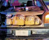  ??  ?? iba un par de “burreros” con 60 kilos de “mota” al momento de ser detenidos por policías municipale­s.