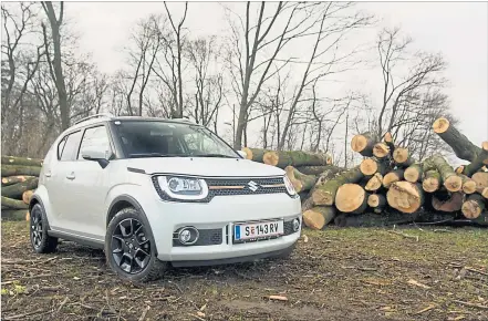  ?? [ Florian Blum] ?? Für den Holztransp­ort weniger geeignet, für den Weg dorthin schon: der Suzuki Ignis, den wir liebevoll Ignaz nannten.