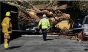  ?? AP PHOTO BY MINDY SCHAUER ?? Authoritie­s access the damage after a woman was killed after a large eucalyptus tree toppled and smashed onto a car she was inside of in the driveway of her home in Tustin, Calif.
