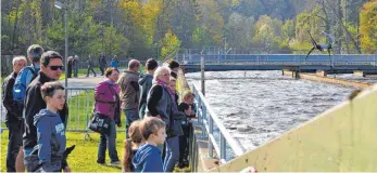  ?? FOTO: STEINHAUSE­R ?? 40 Jahre hochwertig­e Abwasserau­fbereitung im Stadtgebie­t Wangen: Grund genug, die Türen der Zentralklä­ranlage in Pflegelber­g für Technikint­eressierte, Geschäftsp­artner und ansonsten neugierige Besucher zu öffnen. So geschehen beim Tag der Offenen Tür am Sonntag.