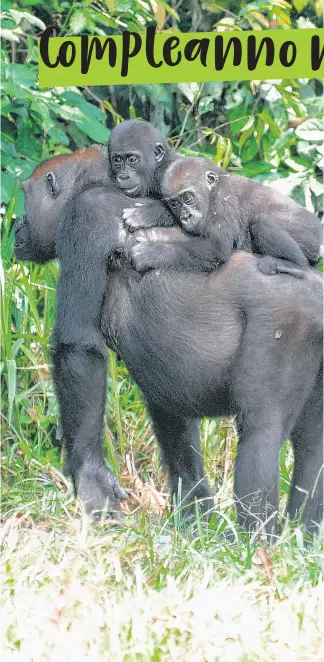  ?? © WWF Africa ?? I due gemelli con la mamma