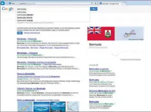  ??  ?? Screenshot von Google: Der Internetko­nzern hat bei der Suche nach Steuerpara­diesen in eigener Sache rasch einen Treffer gelandet.