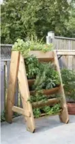  ?? DONNA GRIFFITH ?? Vertical gardens allow home gardeners with limited space to grow upwards.