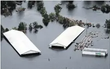  ?? STEVE HELBER THE ASSOCIATED PRESS ?? Hog farm buildings are inundated with flood water near Trenton, N.C., Sunday. Gigantic hog and poultry farms are located in flood-prone areas.