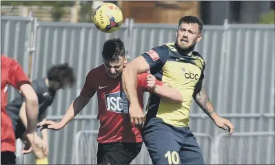  ??  ?? FIT AGAIN Striker Steve Hutchings should return for Moneyfield­s at Christchur­ch tomorrow