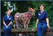  ??  ?? Nurses Fiona Bruce and Stephanie Towler with Florence the Highland cow in the Lochranza Garden