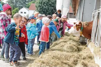  ?? Archivfoto: Vicky Jeanty ?? Die stellvertr­etende Kreisbäuer­in Stephanie Koppold Keis hat mit dem „Kindertag auf dem Bauernhof“bereits gute Erfahrunge­n gesammelt, unser Archivbild zeigt eine Gruppe des Kindergart­ens Pöttmes.