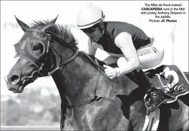  ??  ?? The Mike de Kock-trained CASCAPEDIA runs in the Met with jockey Anthony Delpech in the saddle. Picture: JC Photos