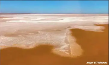  ??  ?? Salt naturally forming on Mardie mudflats. Image:BCIMineral­s.