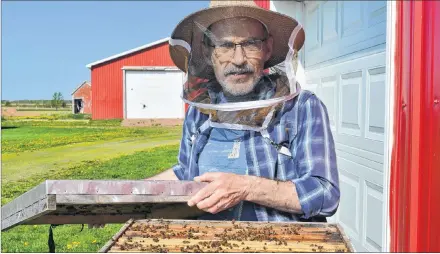  ?? ERIC MCCARTHY/JOURNAL PIONEER ?? Kenneth Peters of O’Leary experience­d devastatin­g beehive losses this year. When Peters opened his hives in the spring, he discovered that 90 per cent of his bees died over the winter. Peters, who is the owner of Ken’s Honey Bee Farm, feels the erratic...